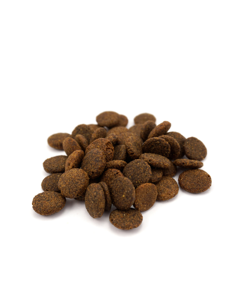 50 Salmon Trout Sweet Potato GRAIN FREE Complete Dog Food