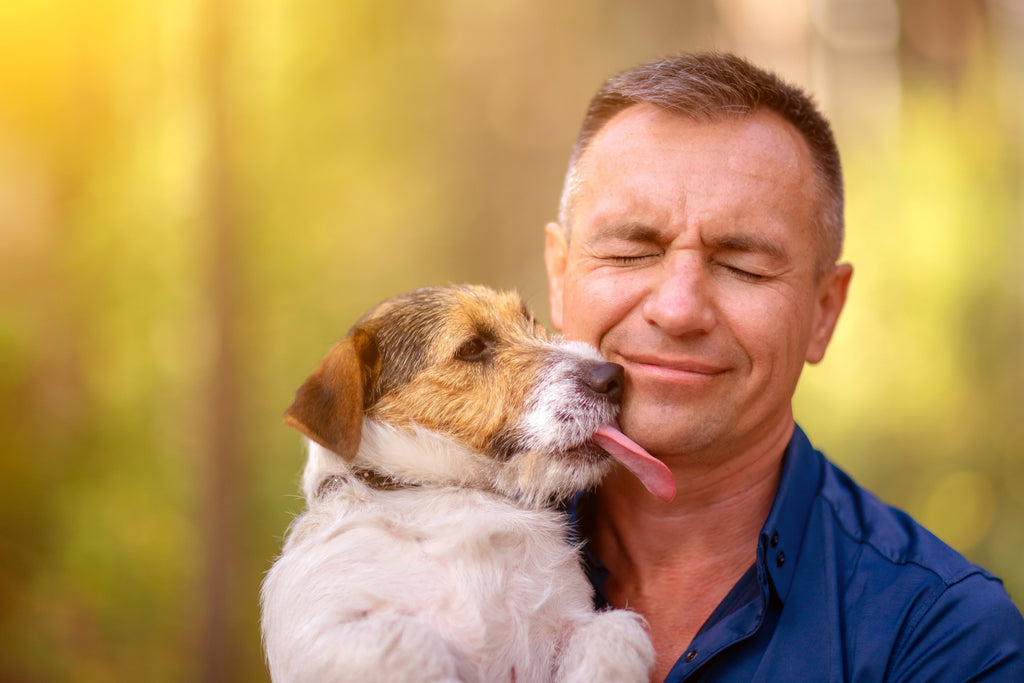 Why Does My Dog Lick Me?