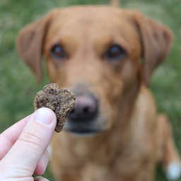 Beef Nuggets With Kelp