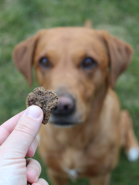 Beef Nuggets With Kelp