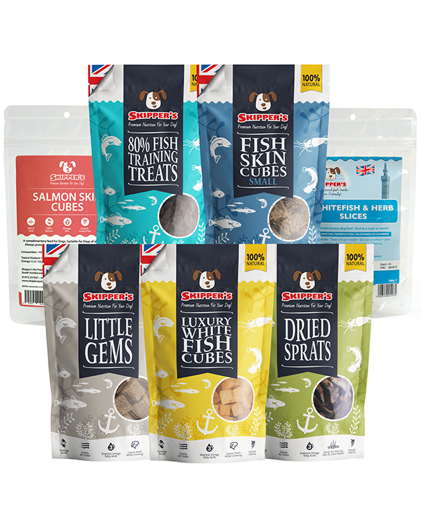 Training Bundle for Dogs Above 12 Weeks Skipper s Pet Products Skipper s Pet Products