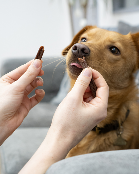 Salmon Meat Sticks