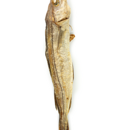 Whole Dried Haddock