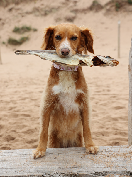 Whole Dried Haddock