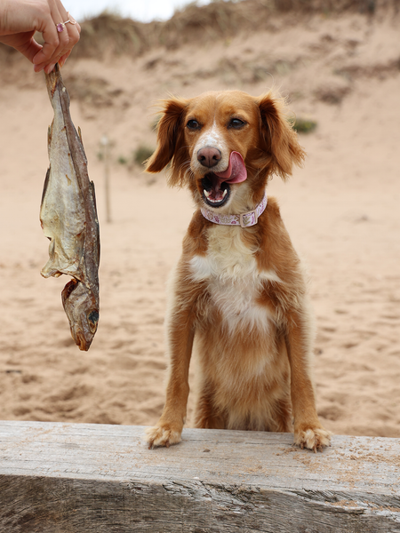 Whole Dried Haddock