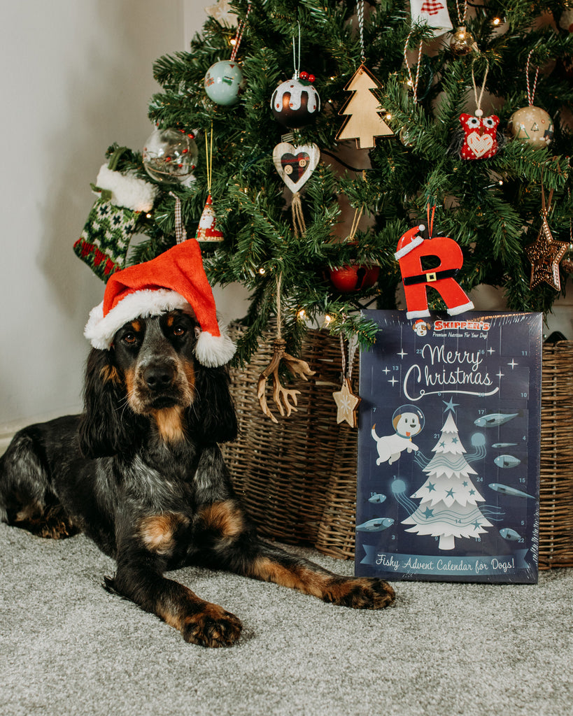 Christmas Advent Calendar